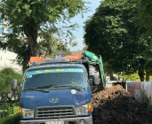 Báo giá VLXD 2025 TPHCM 